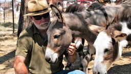 cnnheroes meyers sitting with donkeys cu