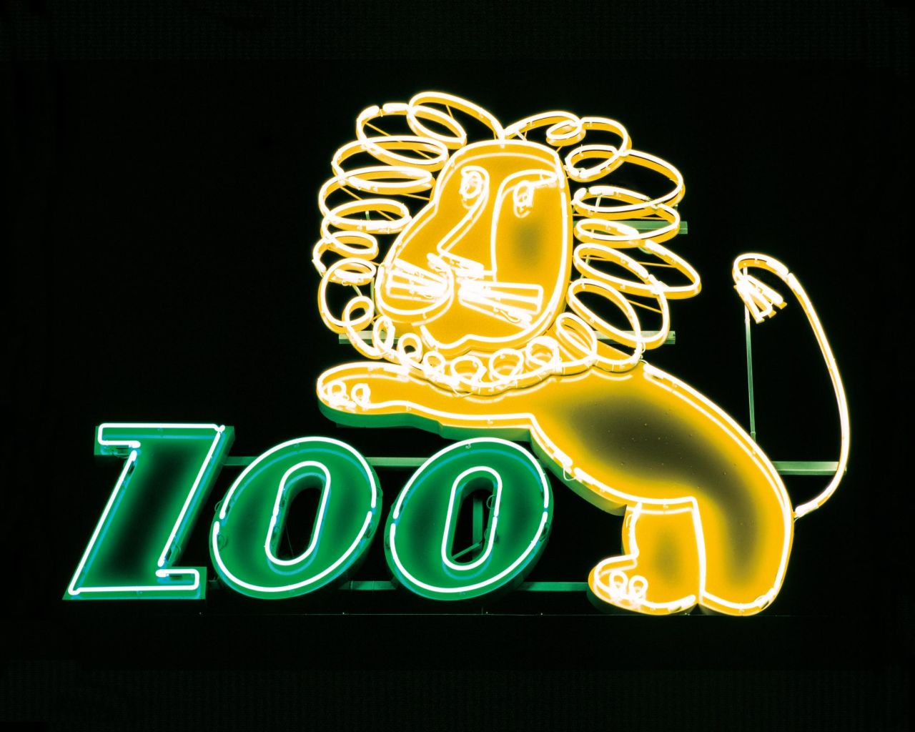Many of the neon signs, found in major cities throughout Poland, were known for their unconstrained designs.