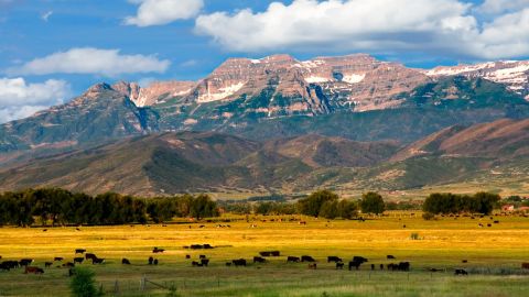 Blank had been eyeing the snowy peak of Timpanagos for years, and now he's finally conquered it.