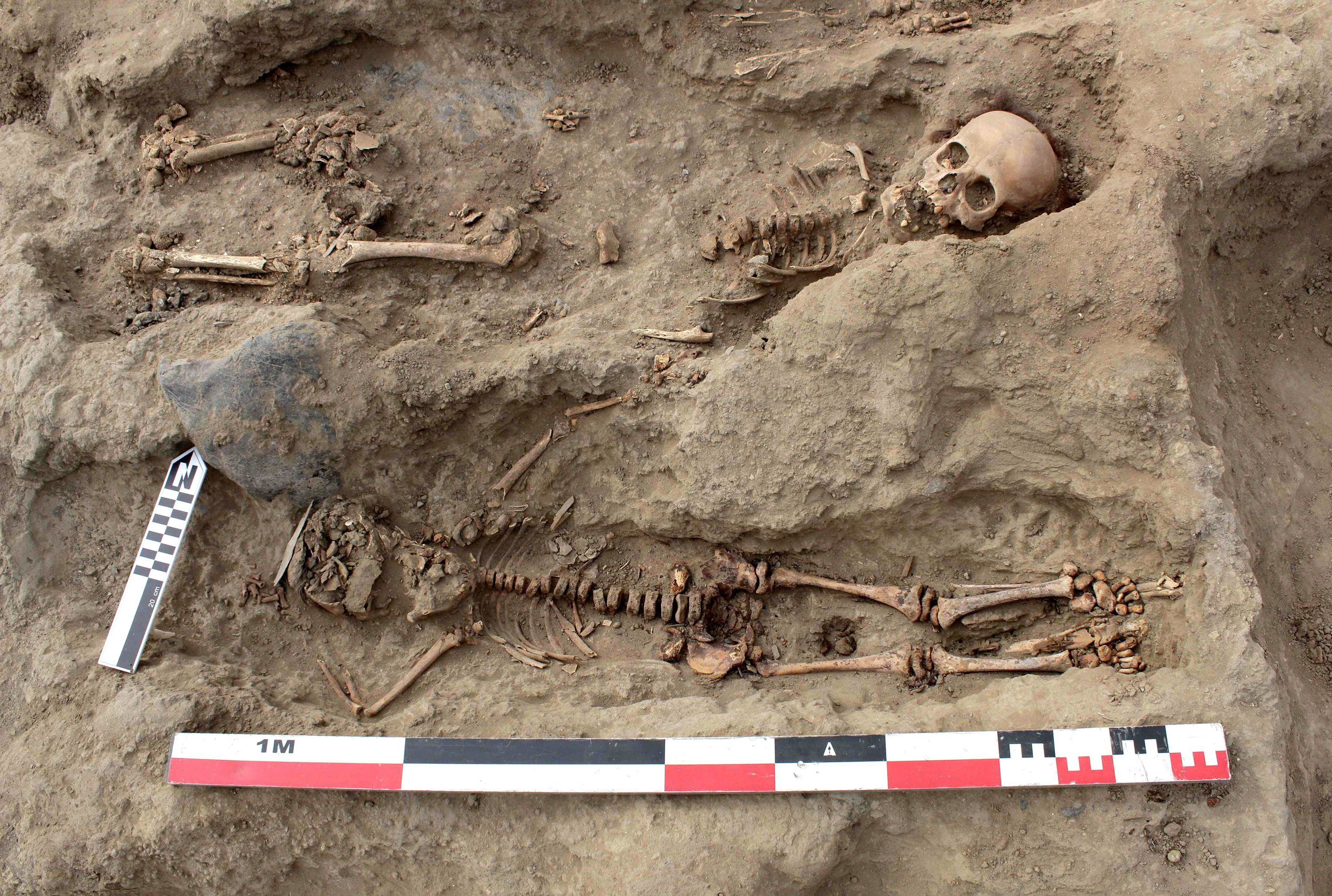 Stable isotope and DNA evidence for ritual sequences in Inca child  sacrifice