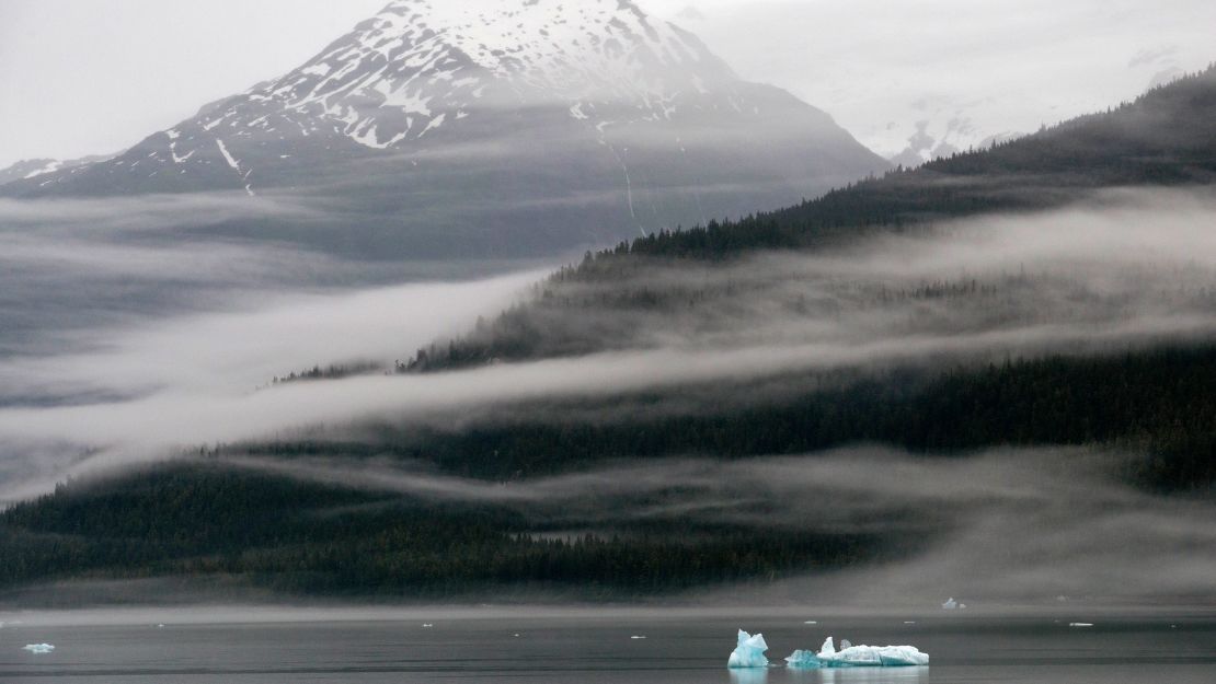Icebergs near the Dawes Glacier, Endicott Arm, Tongass National Forest, Alaska.