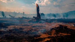 View of a burnt area of forest in Altamira, Para state, Brazil, on August 27, 2019. - Brazil will accept foreign aid to help fight fires in the Amazon rainforest on the condition the Latin American country controls the money, the president's spokesman said Tuesday. (Photo by Joao Laet / AFP)        (Photo credit should read JOAO LAET/AFP/Getty Images)