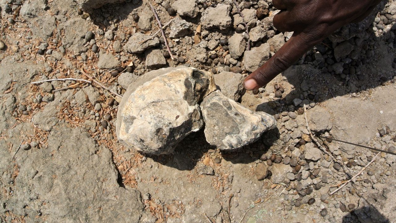 The cranium was discovered in 2016.