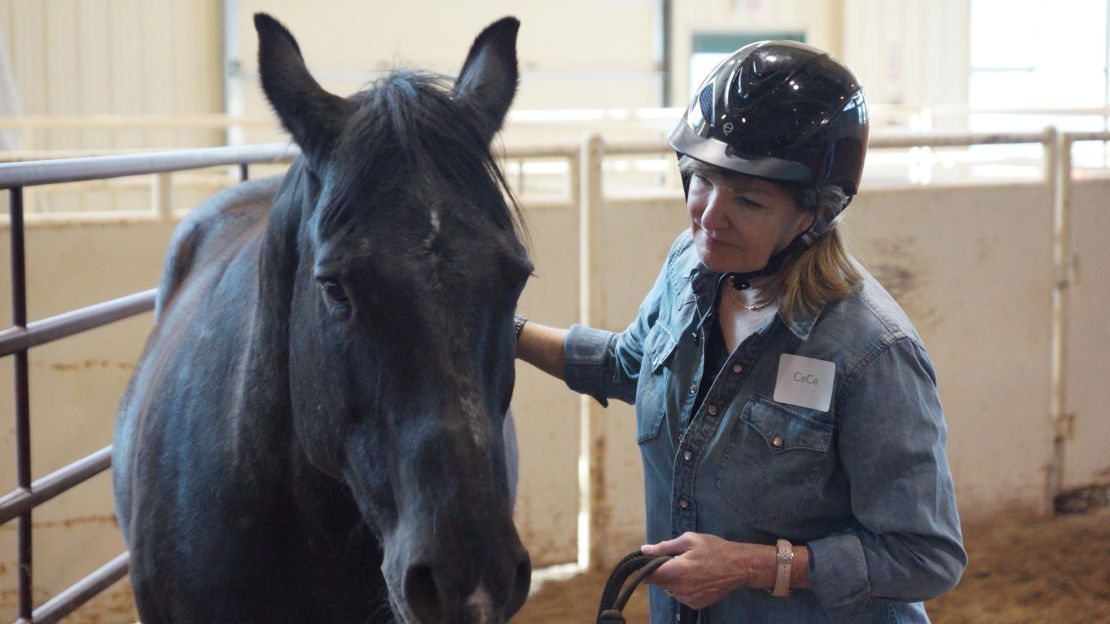 Cece Morken, an executive vice president at Intuit, learning to lead a horse in the round pen.