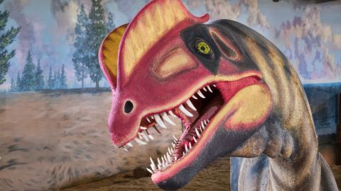 07 Western US dinosaur road trip