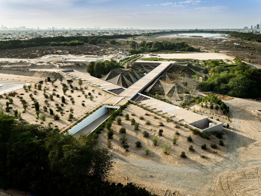 The Wasit Wetland Centre, in Sharjah, United Arab Emirates  transformed a wasteland into a wetland, which is now a hub of biodiversity and environmental education.