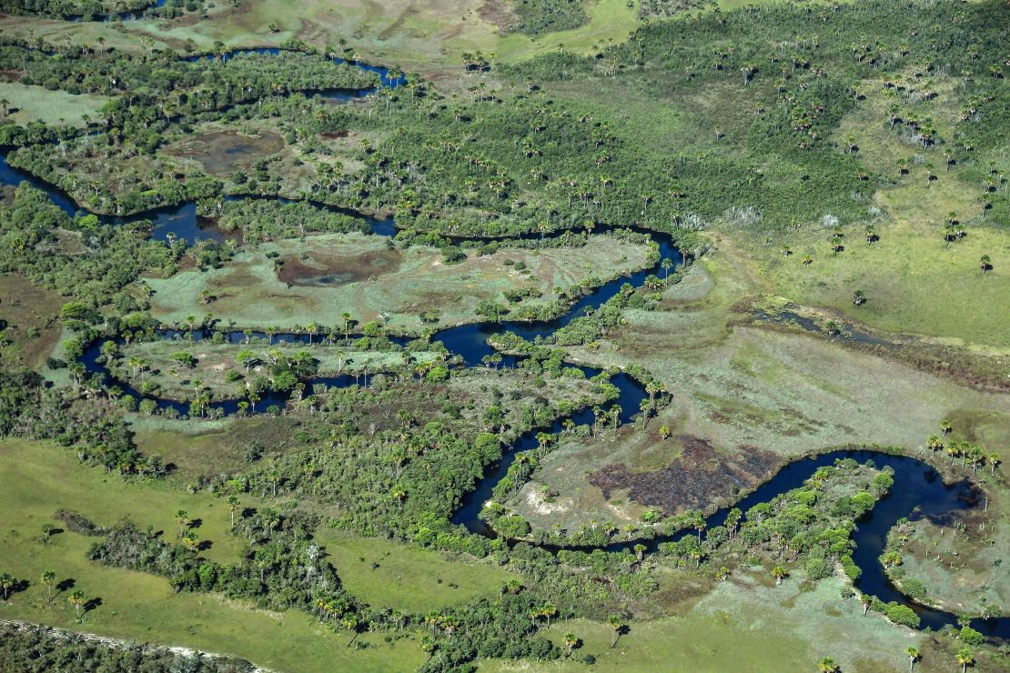 Aerial view taken showing a native Cerrado savanna in Formosa do Rio Preto, western Bahia state.