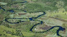 Aerial view taken on May 29, 2019 showing a native Cerrado (savanna) in Formosa do Rio Preto, western Bahia state.
