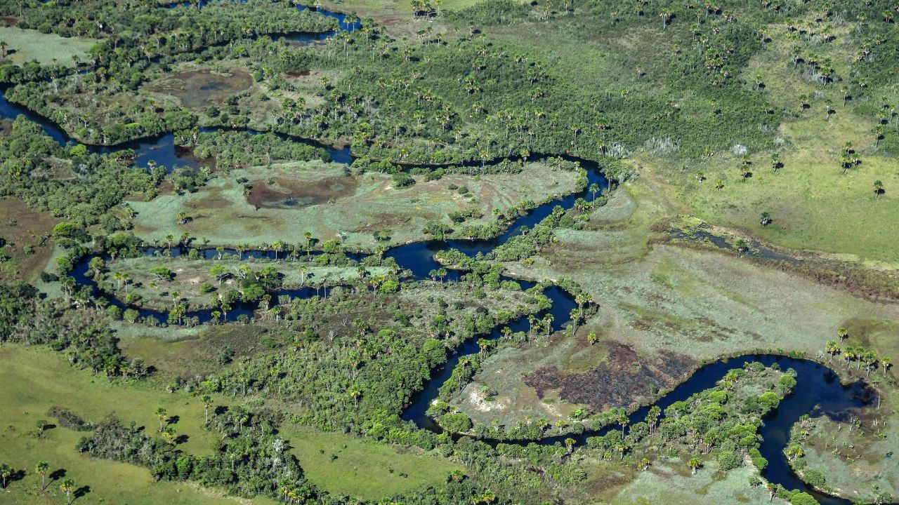 Aerial view taken showing a native Cerrado savanna in Formosa do Rio Preto, western Bahia state.