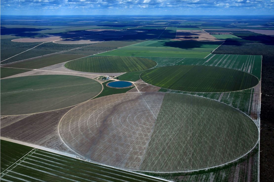 Agriculture fields in Formosa do Rio Preto, western Bahia state. Native vegetation is often cleared for farming and soy crops.