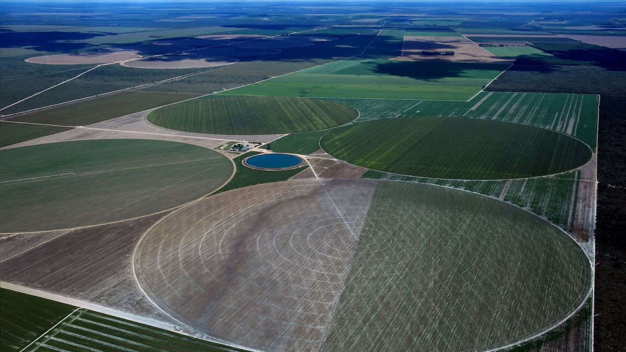 Agriculture fields in Formosa do Rio Preto, western Bahia state. Native vegetation is often cleared for farming and soy crops.