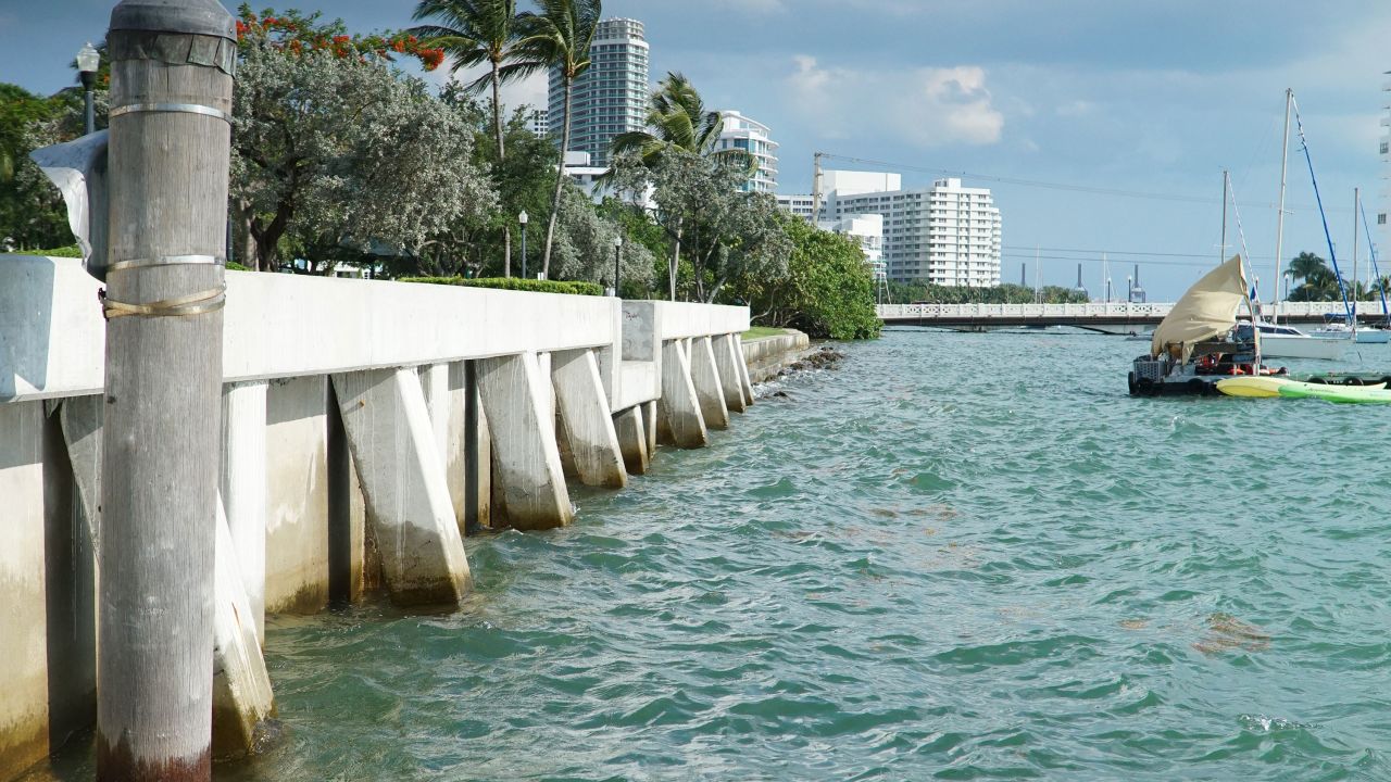 This new seawall was built in Miami Beach's flood-prone Sunset Harbour neighborhood. The city is spending $500 million to combat the threat of rising seas.