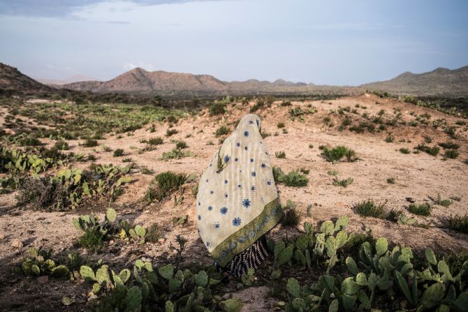 A woman walks through a cactus field in a drought-stricken area of western Somaliland, a breakaway state from Somalia. "In 2016 I came across a group of women washing their clothes in a roadside puddle — the only water they could find," photographer <a href="index.php?page=&url=https%3A%2F%2Fwww.nicholesobecki.com%2F" target="_blank" target="_blank">Nichole Sobecki</a> said. "We spoke for a while of the challenges they faced, of the animals they'd lost in the drought, and the wells that had dried up. Somalia has long been a place of extremes, but climate and environmental changes are compounding those problems and leading to the end of a way of life."