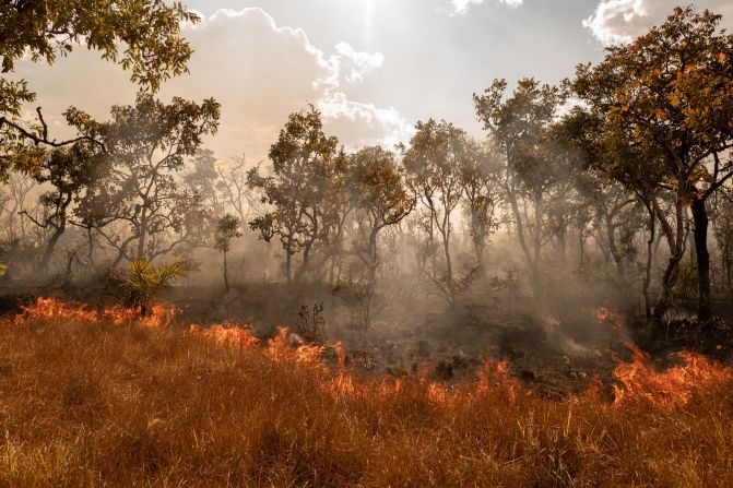 A wildfire burns in Tocantínia, Brazil, in September 2018. In the Cerrado region, wildfires are common for two reasons, said photographer <a href="index.php?page=&url=http%3A%2F%2Fwww.marciopimenta.com%2F" target="_blank" target="_blank">Marcio Pimenta.</a> One is extreme heat. The other is farmers clearing space for soybeans and livestock.