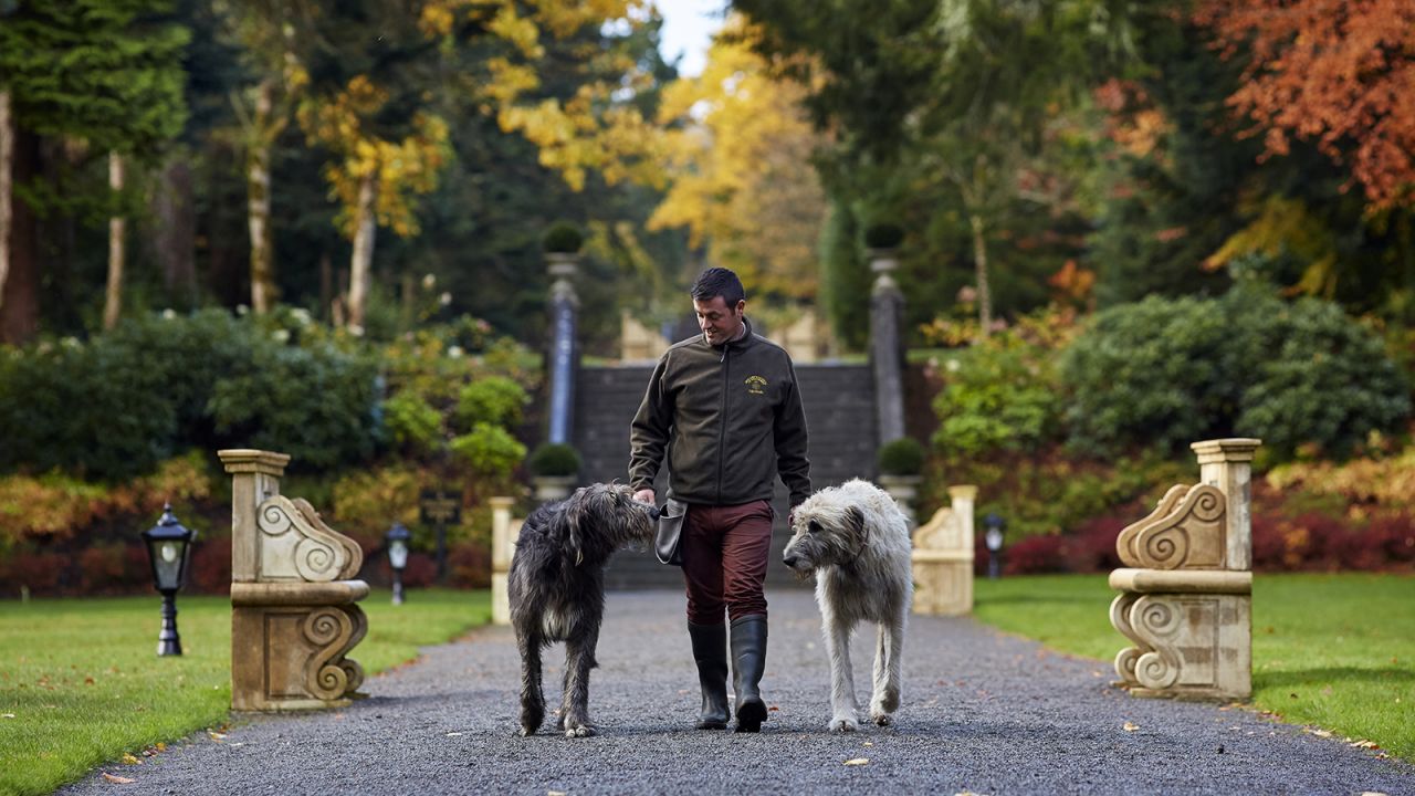 <strong>Ashford Castle, Mayo: </strong>Ashford Castle is home to Irish wolfhounds Cronan and Garvan, whom you can join on their walk every morning at 8.30 a.m. 