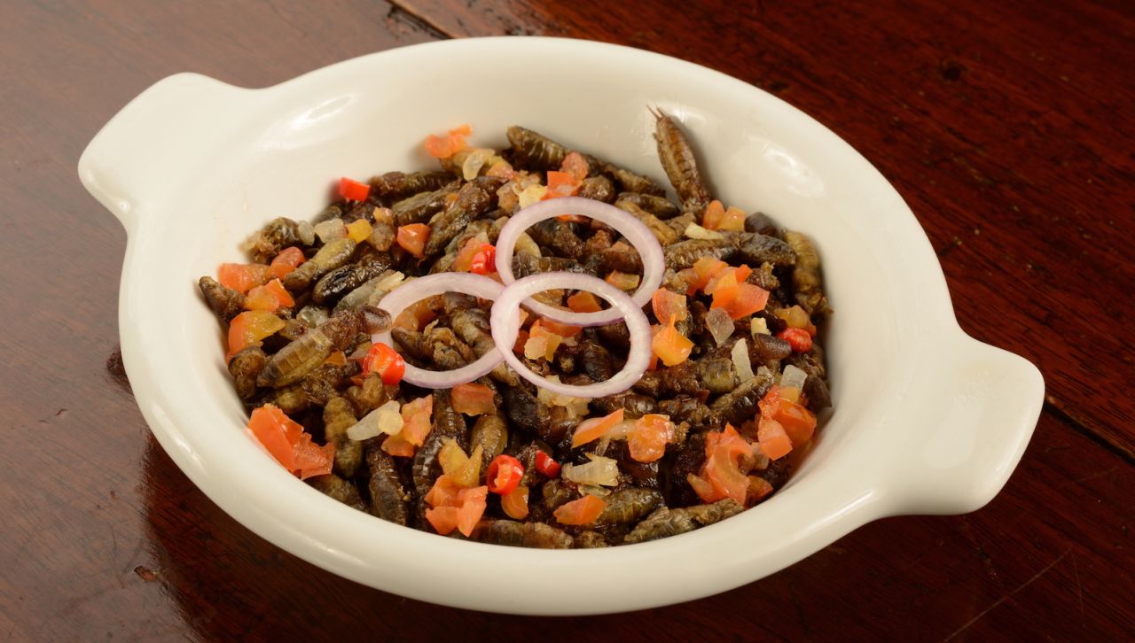 <strong>Kamaru: </strong>Kamaru is a seasonal specialty from Pampanga. Its main ingredient is mole crickets, which can be enjoyed at Abe restaurant in Manila -- with their legs and wings removed. 