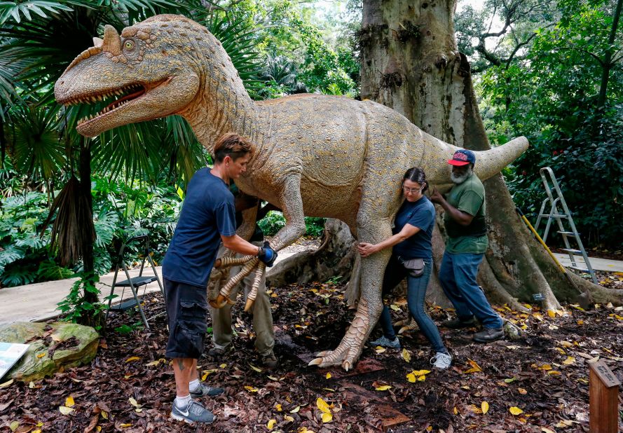 Workers at Flamingo Gardens in Davie, Florida, move an Allosaurus statue on August 30.