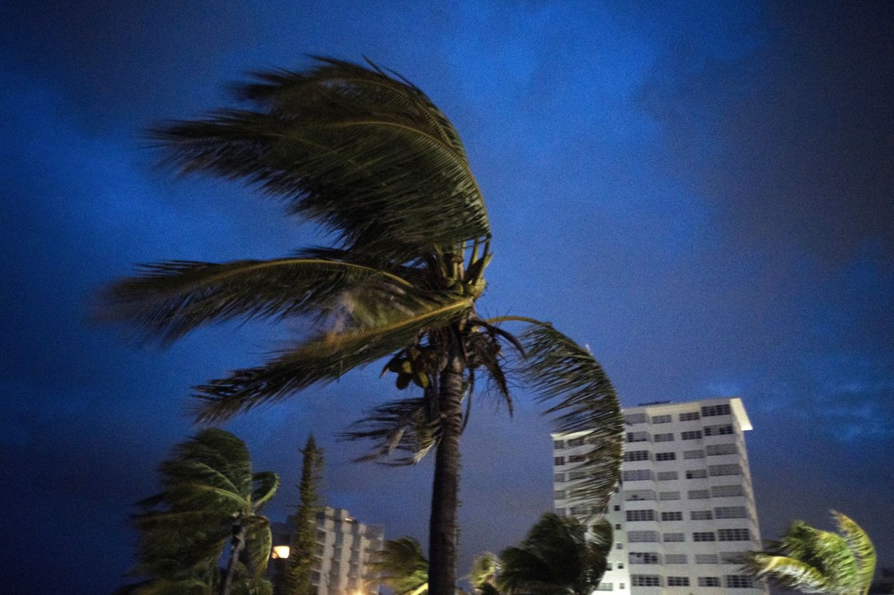 Palm trees blow in strong winds prior to Dorian's landfall in Freeport.