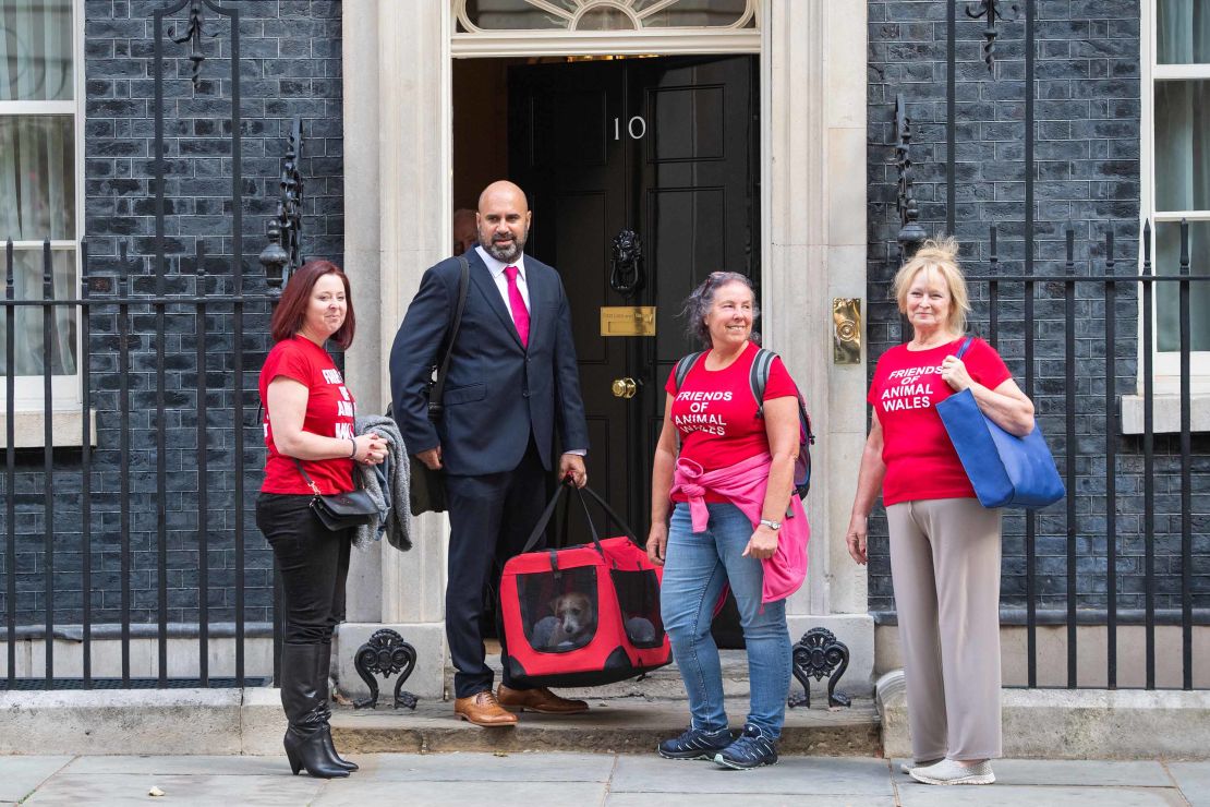 Volunteers from Friends of Animals Wales deliver a 15-week-old puppy adopted by Prime Minister Boris Johnson and his partner Carrie Symonds to Downing Street.