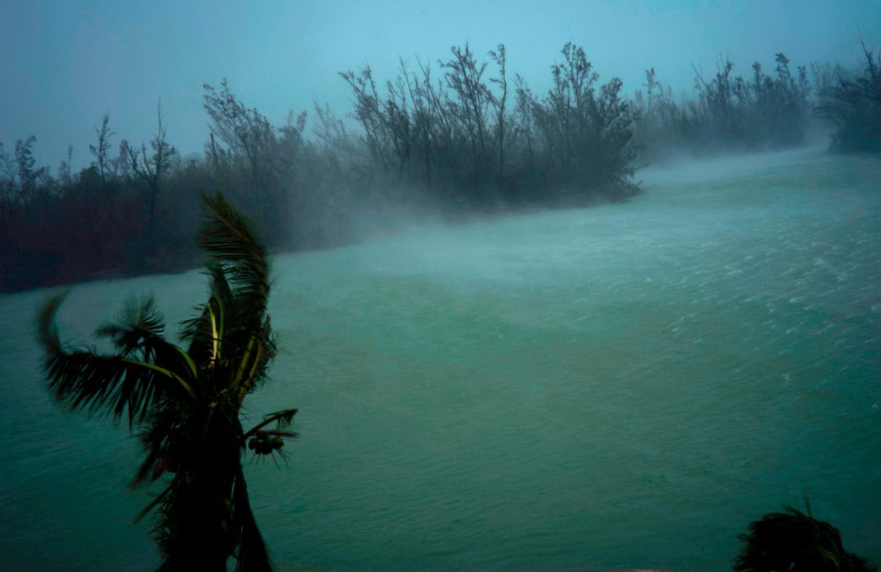 Strong winds blow the tops of trees and brush in Freeport, Bahamas, on September 2.