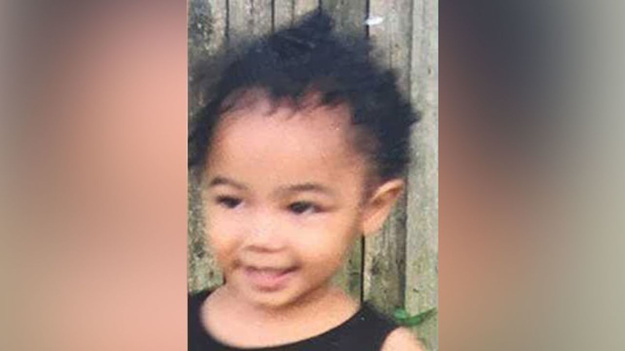 autopsy child  Nalani Johnson: Autopsy of a missing 23-month-old girl found dead in a  Pennsylvania park is planned for today | CNN