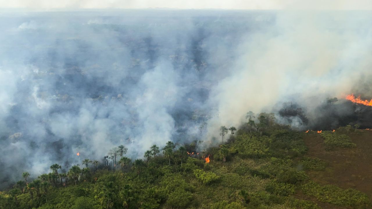 The Brazilian state of Rondônia has had over 6,000 fires burning so far this year, according to Brazil's National Institute for Space Research (INPE).