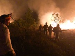 Marcio Tenharim, president of the indigenous Tenharim fire brigade, watches as members of the brigade battle the fires, some too big to handle with a small group of ten firemen.