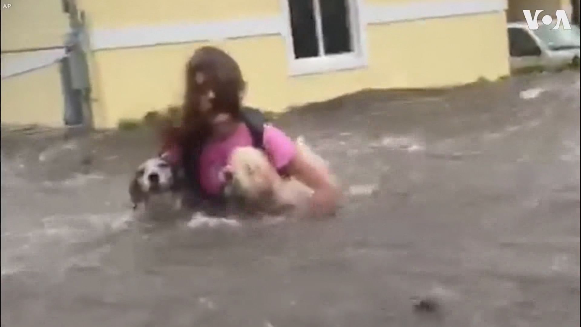 Hurricane Dorian and Your Pets