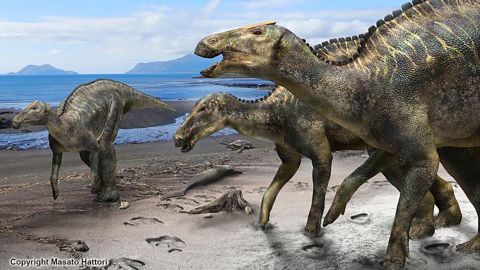 Researchers have found a nearly complete skeleton of a new dinosaur.