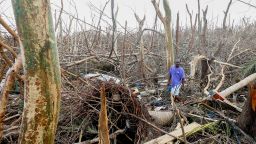 GREAT ABACO, BAHAMAS - SEPTEMBER 6:  Wesley Joseph walks through fallen trees and debris on devastated Great Abaco Island on September 5, 2019 in the Bahamas. Hurricane Dorian hit the island chain as a category 5 storm battering them for two days before moving north.  (Photo by Jose Jimenez/Getty Images) (Photo by Jose Jimenez/Getty Images)
