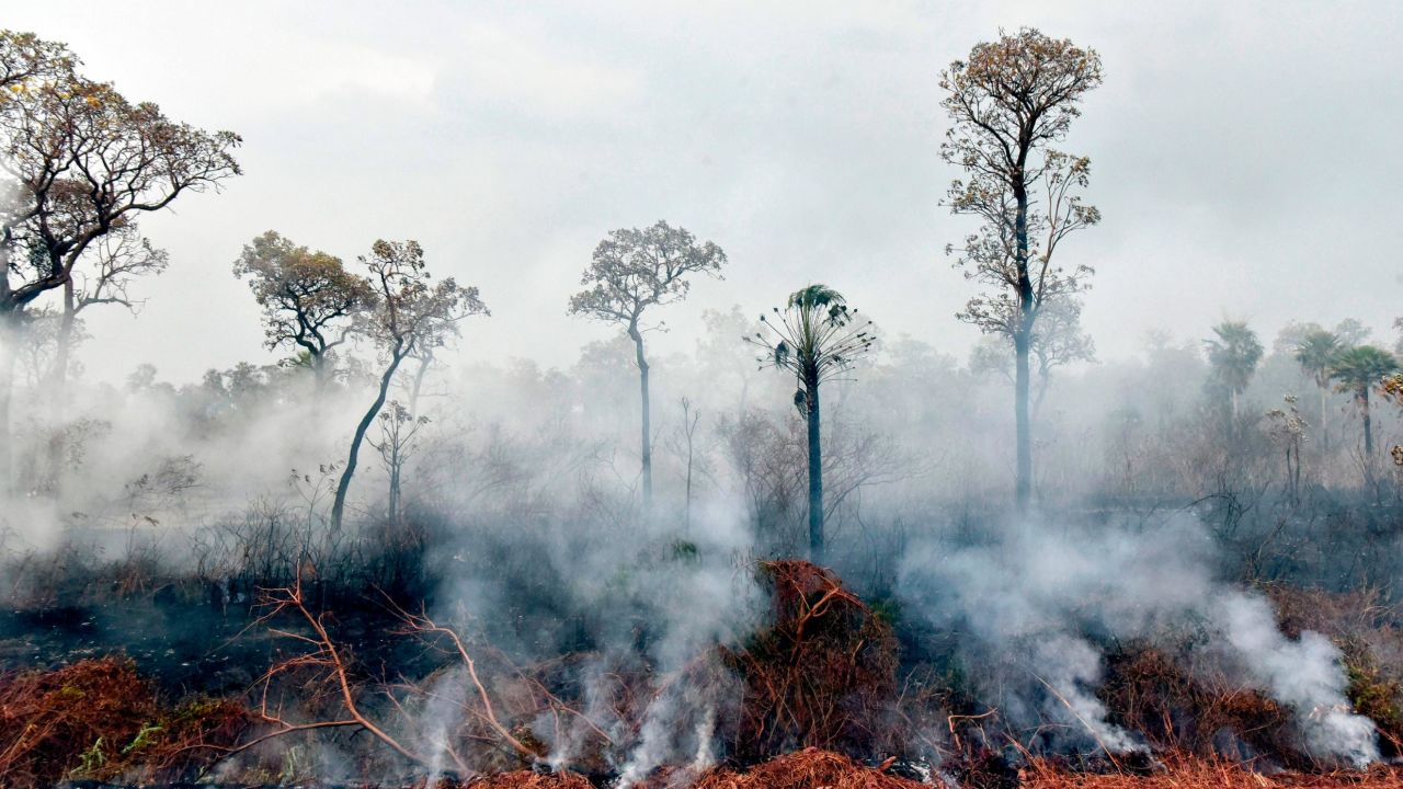 Smokes rises from forest fires in Otuquis National Park, in the Pantanal ecoregion of Bolivia.