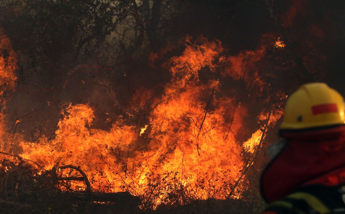 A firefighter works during a wildfire in the Santa Cruz region of eastern Bolivia on August 22, 2019.