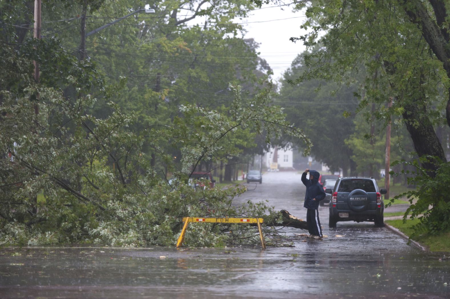 A man looks a tree that fell in Moncton, New Brunswick, on September 7.