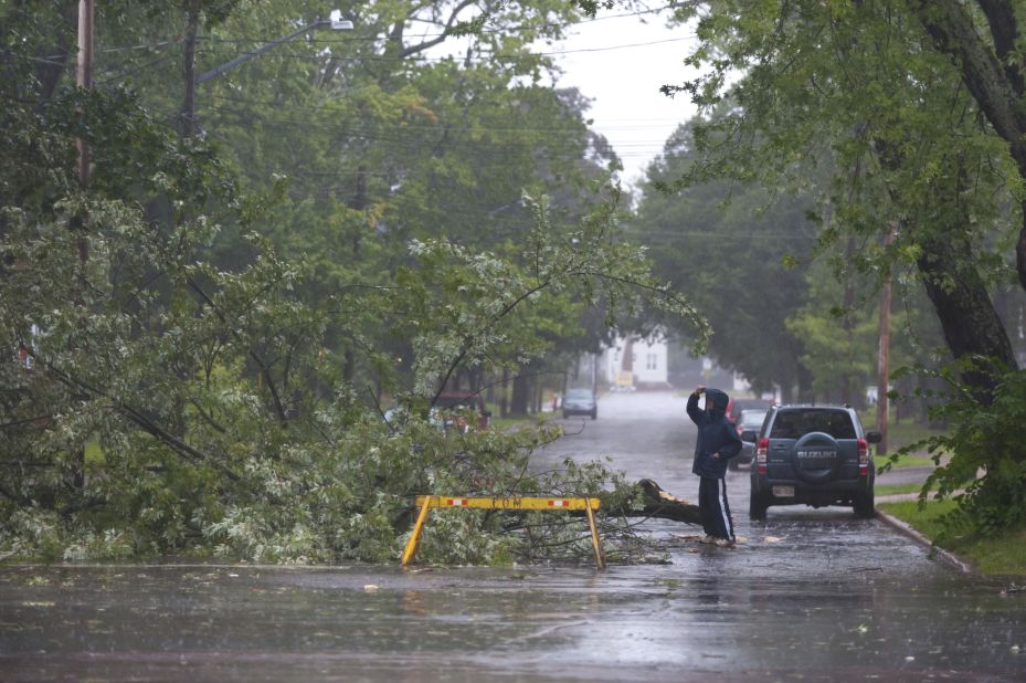 A man looks a tree that fell in Moncton, New Brunswick, on September 7. 