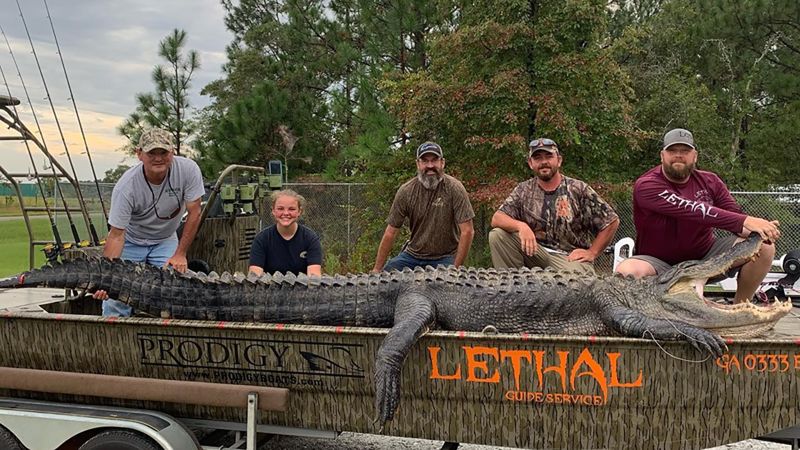 This 14-foot Alligator May Be The Biggest One Ever Caught In Georgia | CNN