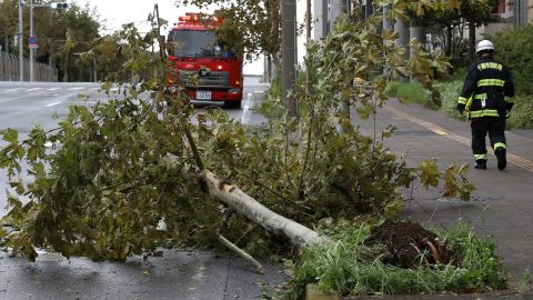 A firefighter walks past a fallen tree caused by Typhoon Faxai in Tokyo on September 9, 2019. 