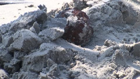 A couple found two Civil War-era cannonballs on Folly Beach in South Carolina on Sunday