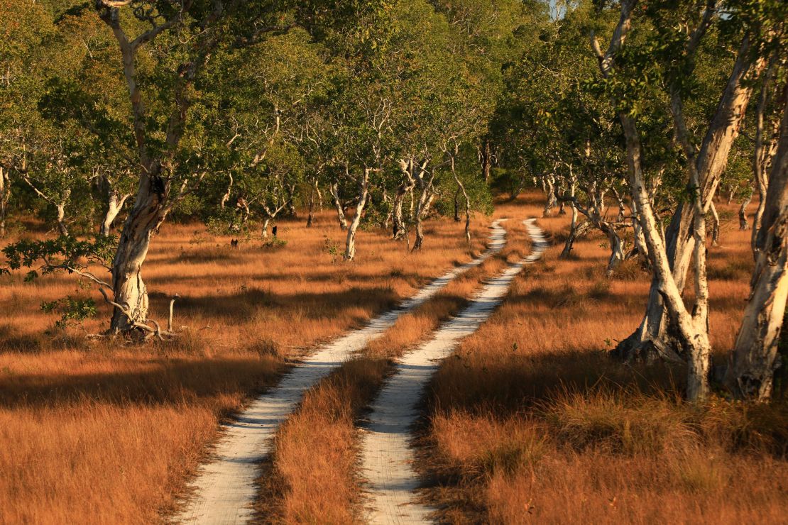 Pedaling through the savannah interior of Koh Phra Thong.
