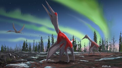 An artist's depiction shows the Cryodrakons on the ground and in the air.
