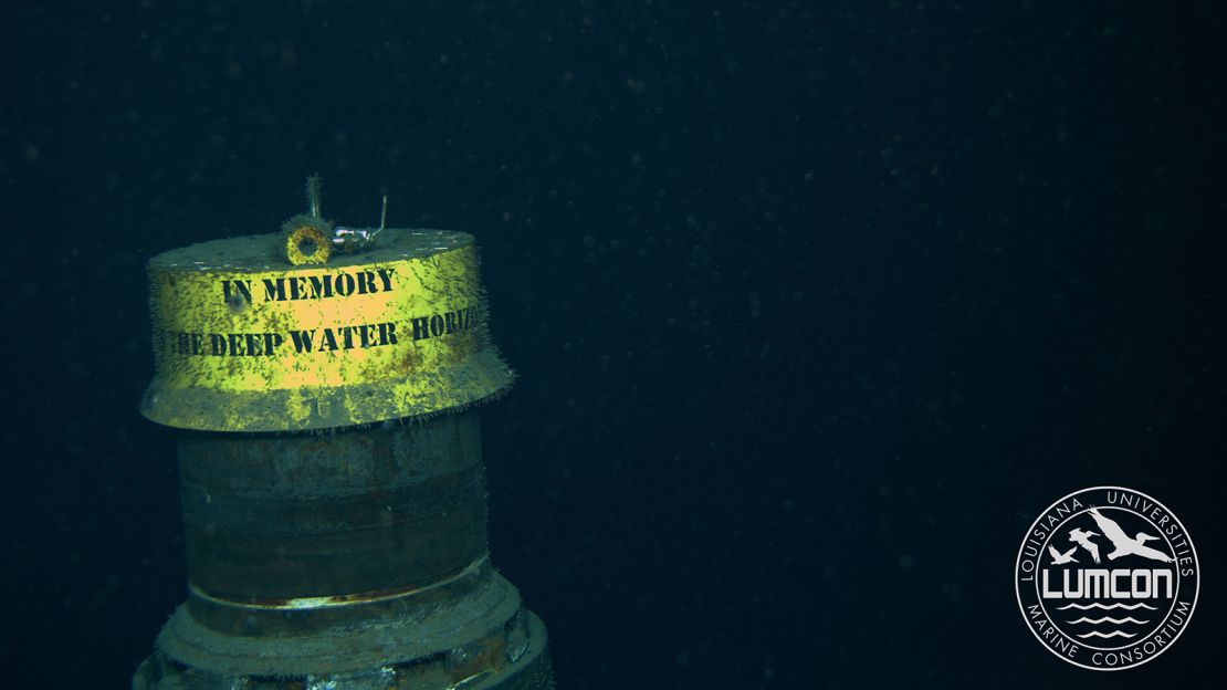 Underwater cameras on remote-operated vehicles captured these images of the oil spill site in 2017.