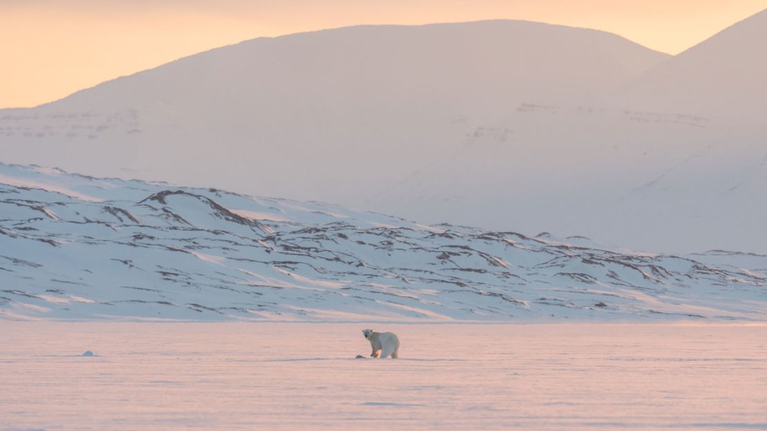 Luxury Action say they want to create "a more comfortable way to experience the North Pole."
