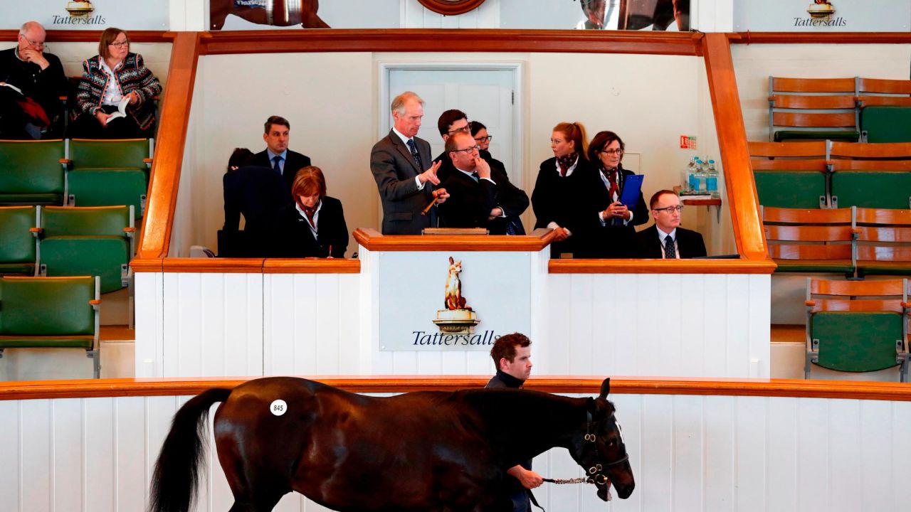 Tattersalls is the oldest bloodstock auctioneers in the world, founded in London in 1766.