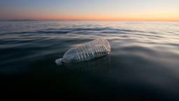 Plastic Water Bottle Floating in Pacific Ocean, Santa Monica, California, USA (Photo by: Citizen of the Planet/Education Images/Universal Images Group via Getty Images)