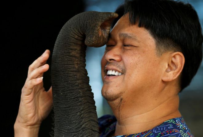 Veterinarian Padet Siridumrong plays with his patient, Fah Jam, on Thursday, September 12. The Thai elephant was crippled by wire snares in 2017, but after two years of treatment she was ready to be turned over to a national park.