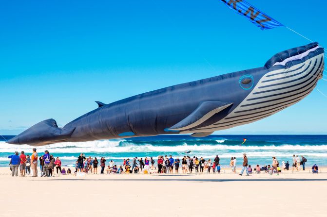 A kite in the shape of a whale is seen at Sydney's Bondi Beach on Sunday, September 8. The Festival of the Winds is Australia's largest kite festival.
