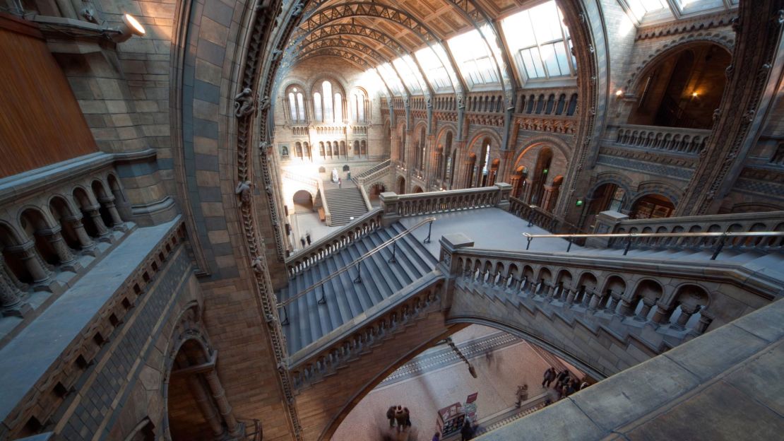 Considered one of the world's best natural history museums, London's also boasts breathtaking architectural interiors.