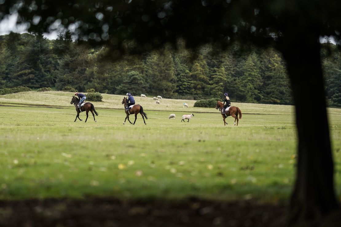 Horses exercise at the Curragh ahead of racing.