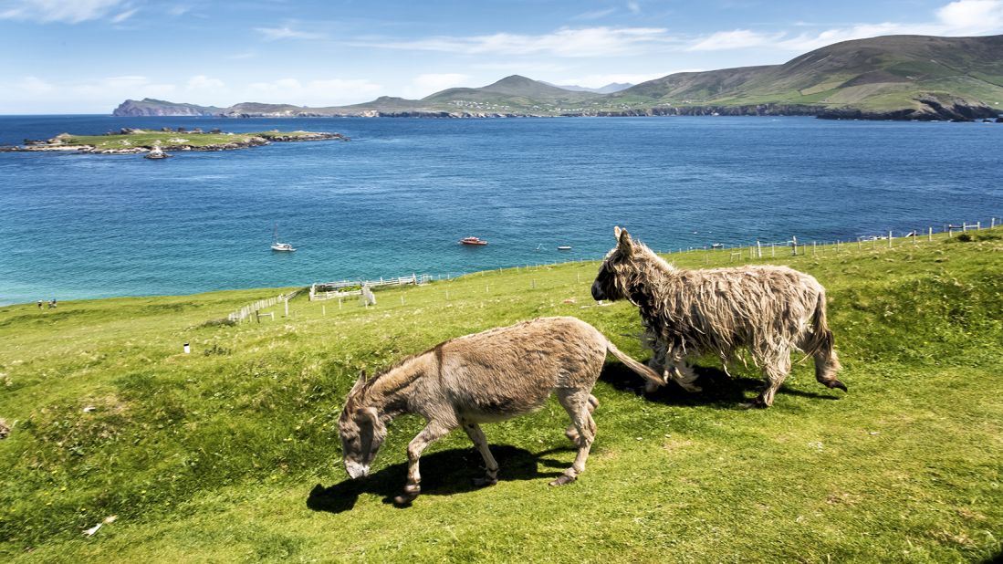 <strong>Great Blasket, Kerry: </strong>The largest, Great Blasket Island, is the most commonly visited, and is a hiker's paradise -- bring a picnic and explore the trails around the island. Click through to see more of Ireland's most beautiful islands. 