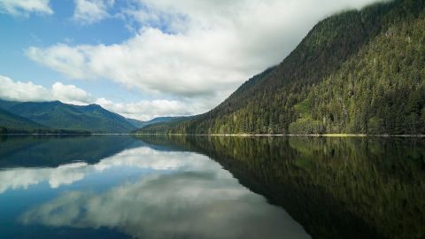 The arrival of tourism cruise ships helped the forest, as visitors didn't want to see bare slopes, locals say.