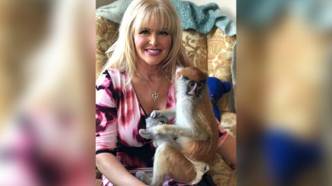 Texanne McBride-Teahan says she has had emotional support monkeys for more than 20 years to help cope with PTSD.